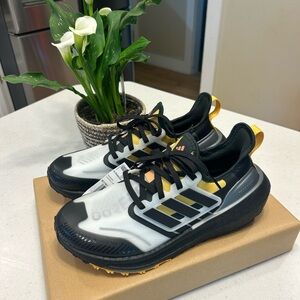 Adidas Ultraboost light GTX running shoes